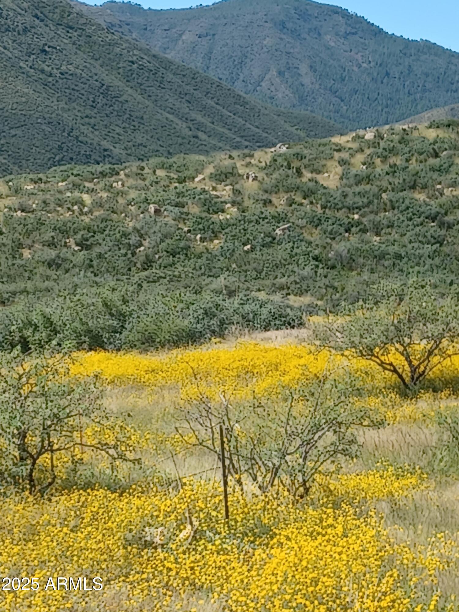 5668 Miners Pick Road Mayer, AZ 86333 - Photo 23 of 39 NDTZ3224