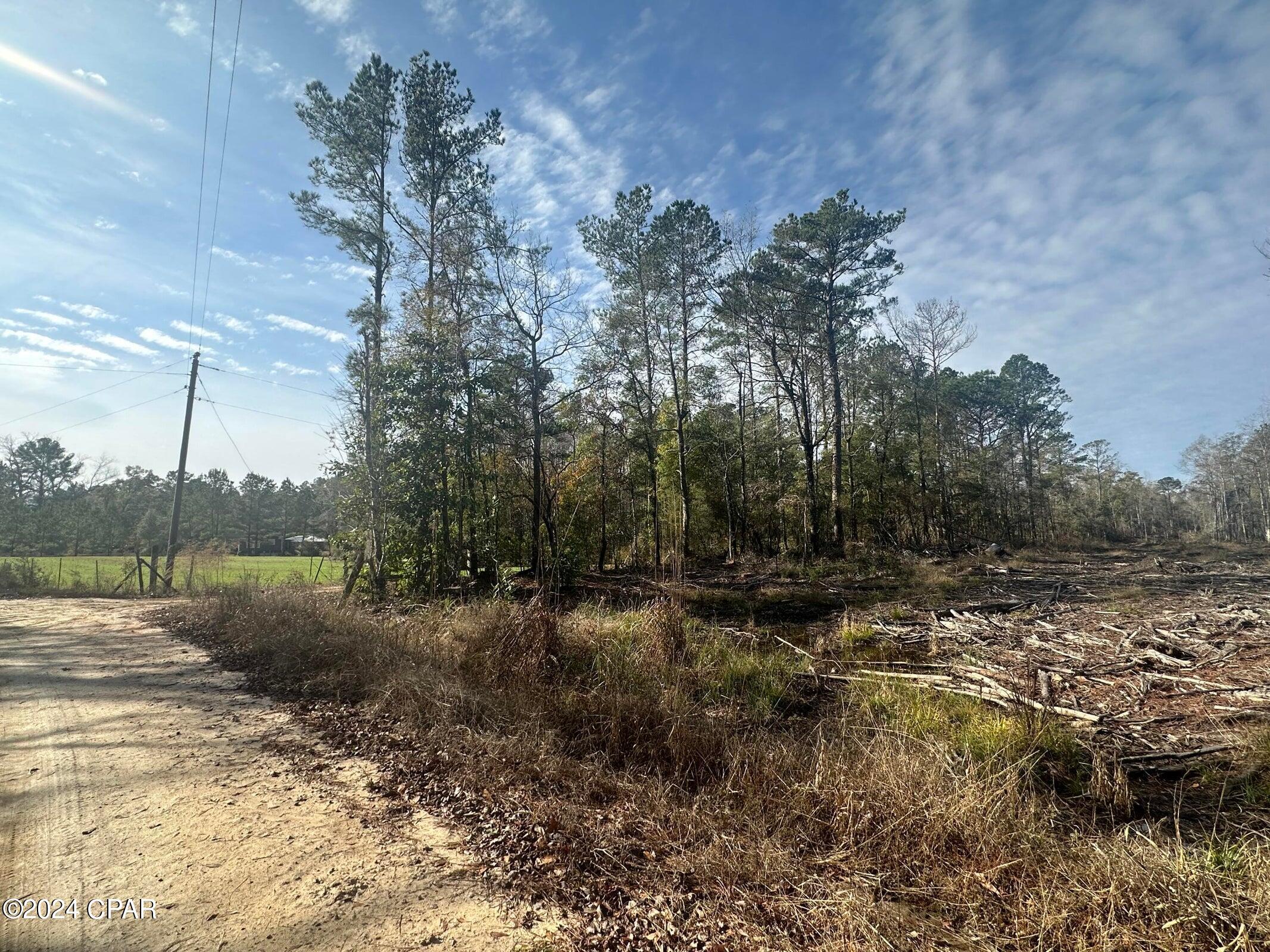 6331 Sellers Road Bonifay, FL 32425 - Photo 5 of 5