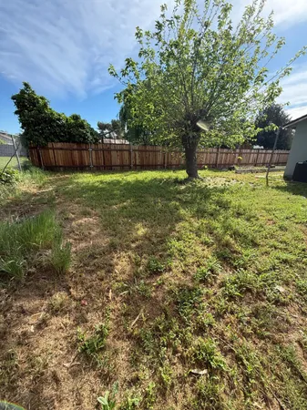 a view of yard with green space