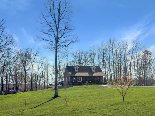 a view of a tree with a yard