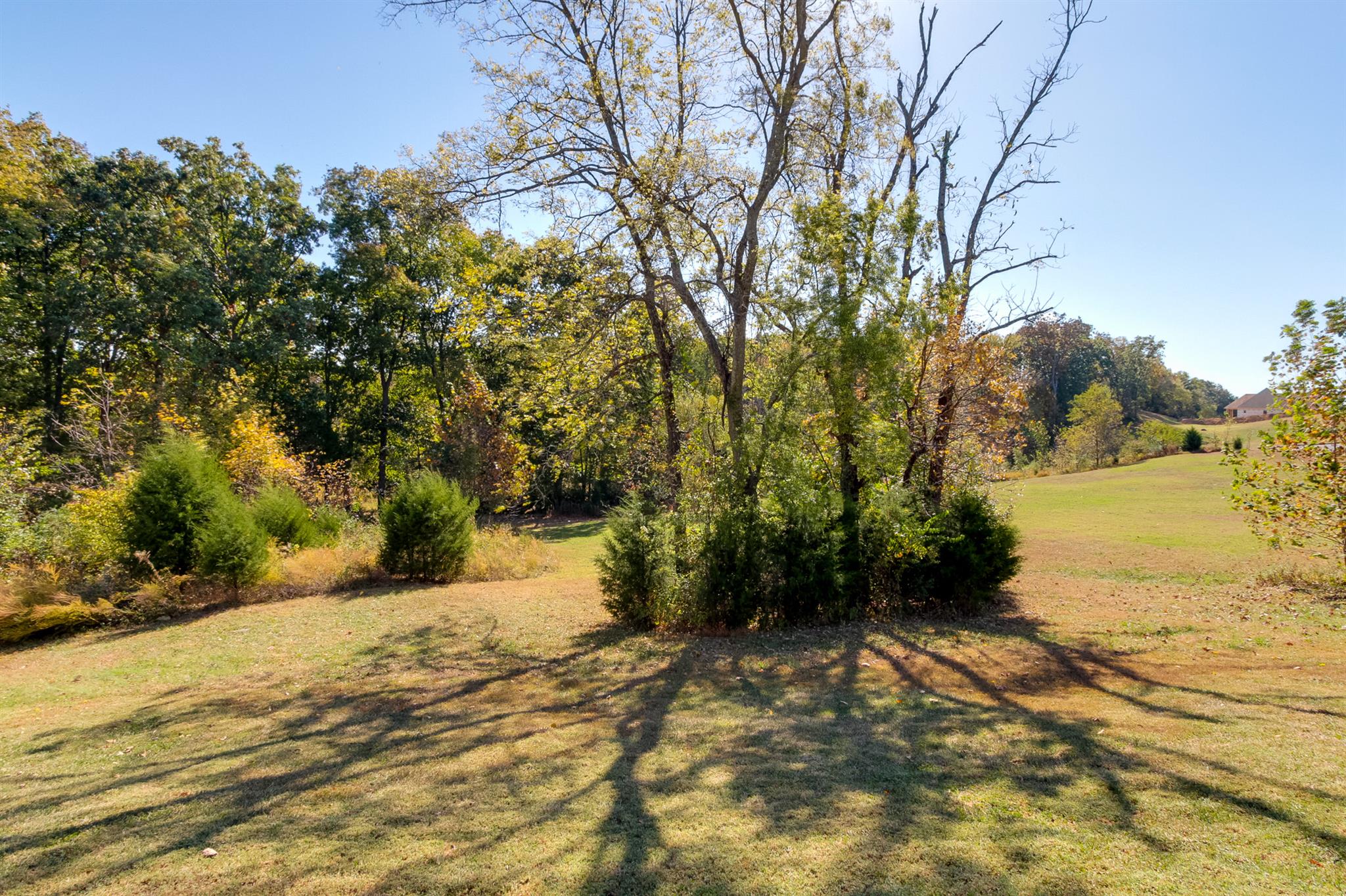 534 Ridgecrest Lane Lebanon, TN 37087 - Photo 10 of 30 Gallery Image 10