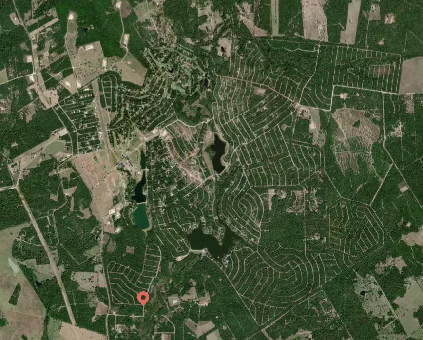 Lot 8 Wichita Normangee, TX 77871 - Photo 3 of 27 a close up of a plant in a garden