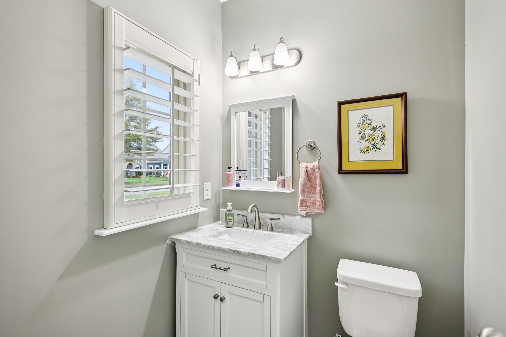 2263 Cason Lane Murfreesboro, TN 37128 - Photo 8 of 19 a bathroom with a toilet a sink and mirror