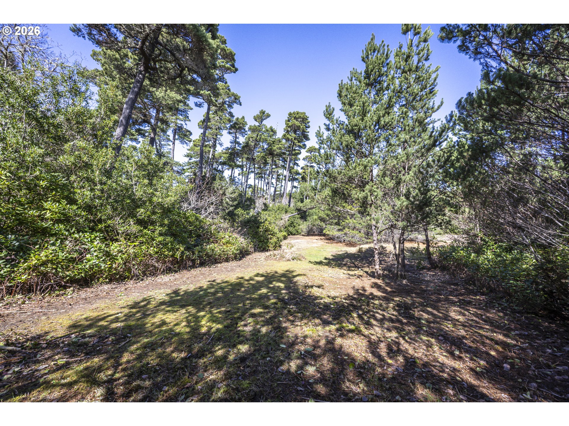 87977 Kelsie Way Florence, OR 97439 - Photo 19 of 20