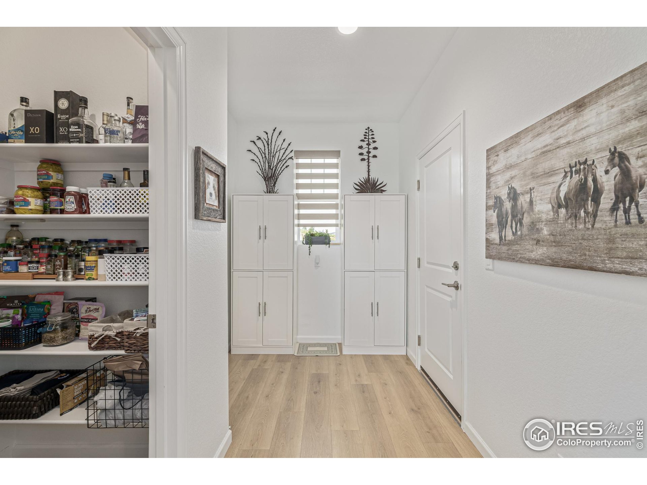 3624 Rucksack Court Castle Rock, CO 80108 - Photo 22 of 50