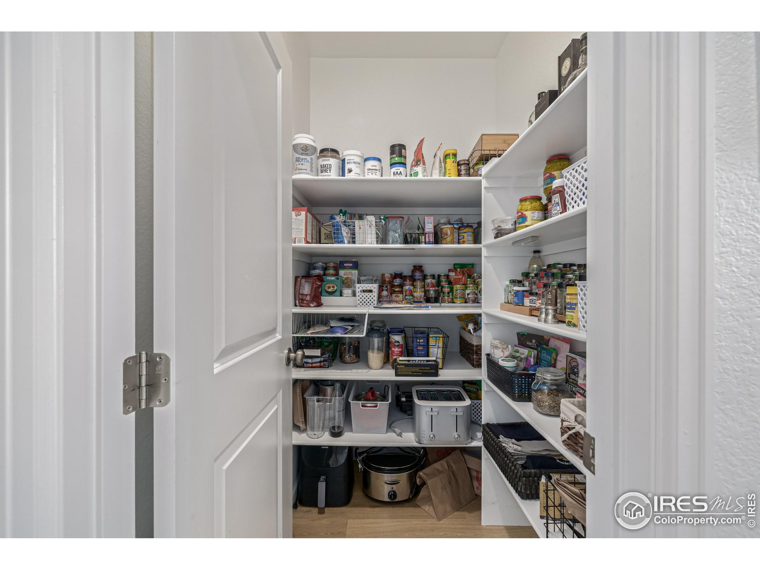 3624 Rucksack Court Castle Rock, CO 80108 - Photo 24 of 50