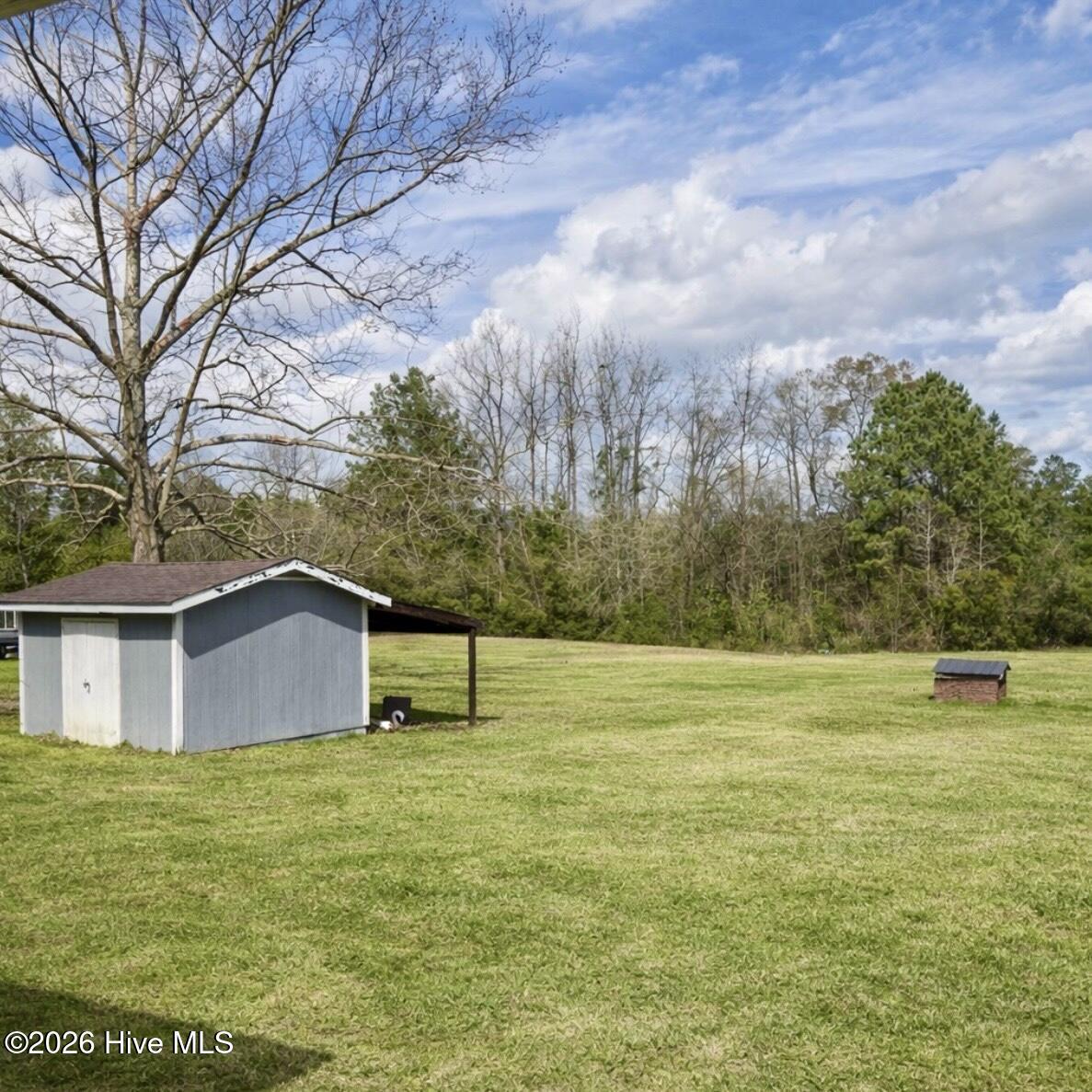 6253 Livingston Chapel Road Delco, NC 28436 - Photo 6 of 26 Back yard/small storage shed