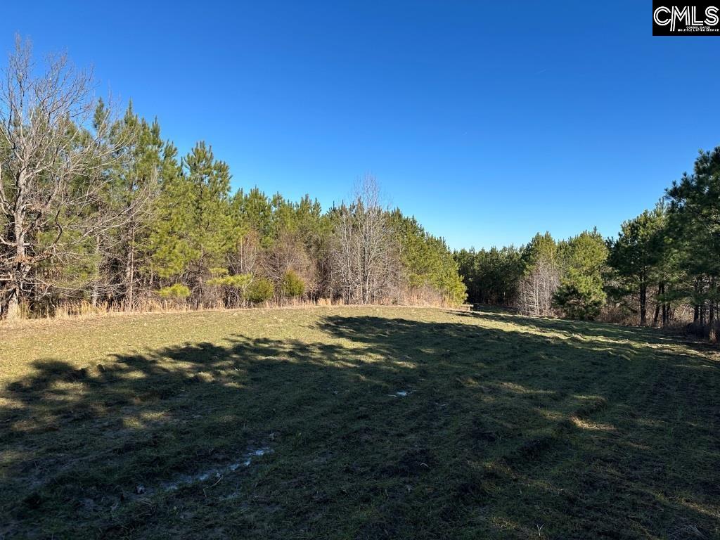 River Road Winnsboro, SC 29180 - Photo 18 of 20