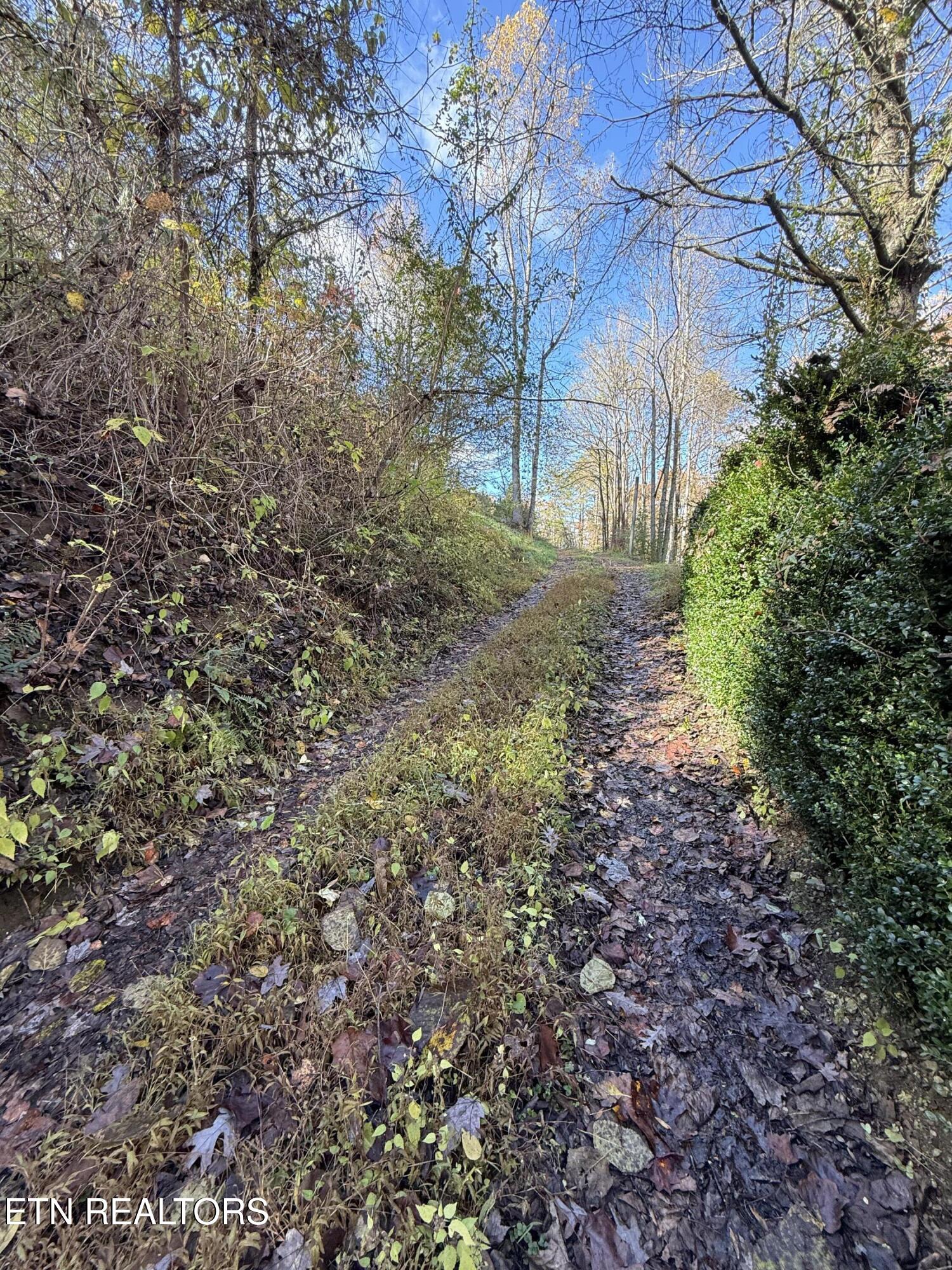 1107 Catoosa Road Wartburg, TN 37887 - Photo 9 of 27 IMG_0746