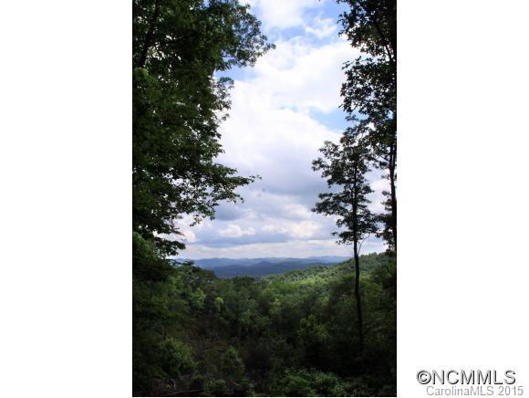 M142 Camptown Road Brevard, NC 28712 - Photo 6 of 24 Gallery Image 6