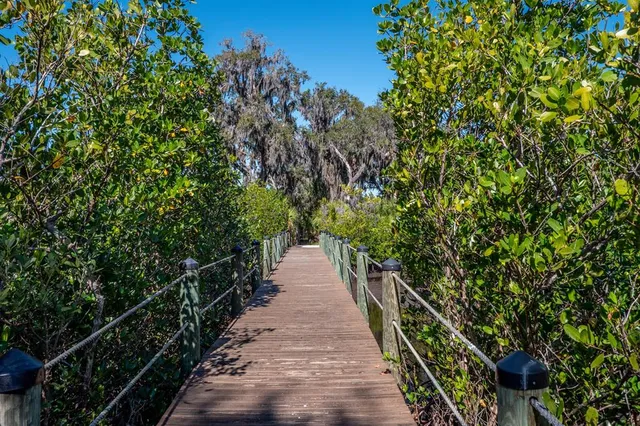 a view of a pathway of a park