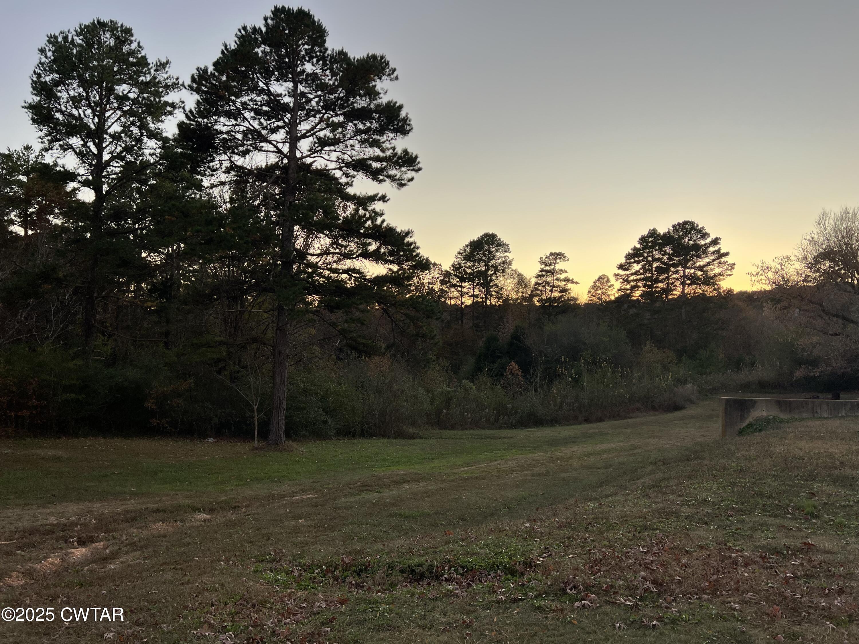 4335 Silerton Road Henderson, TN 38340 - Photo 23 of 24 a big yard with lots of green space