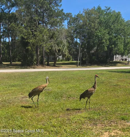 a swimming pool with wooden fence and trees