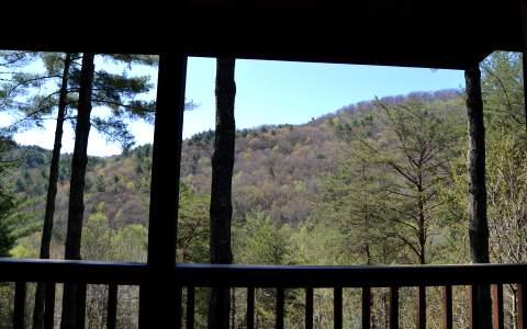 140 Dream Cove Road Cherry Log, GA 30522 - Photo 1 of 1 Main View