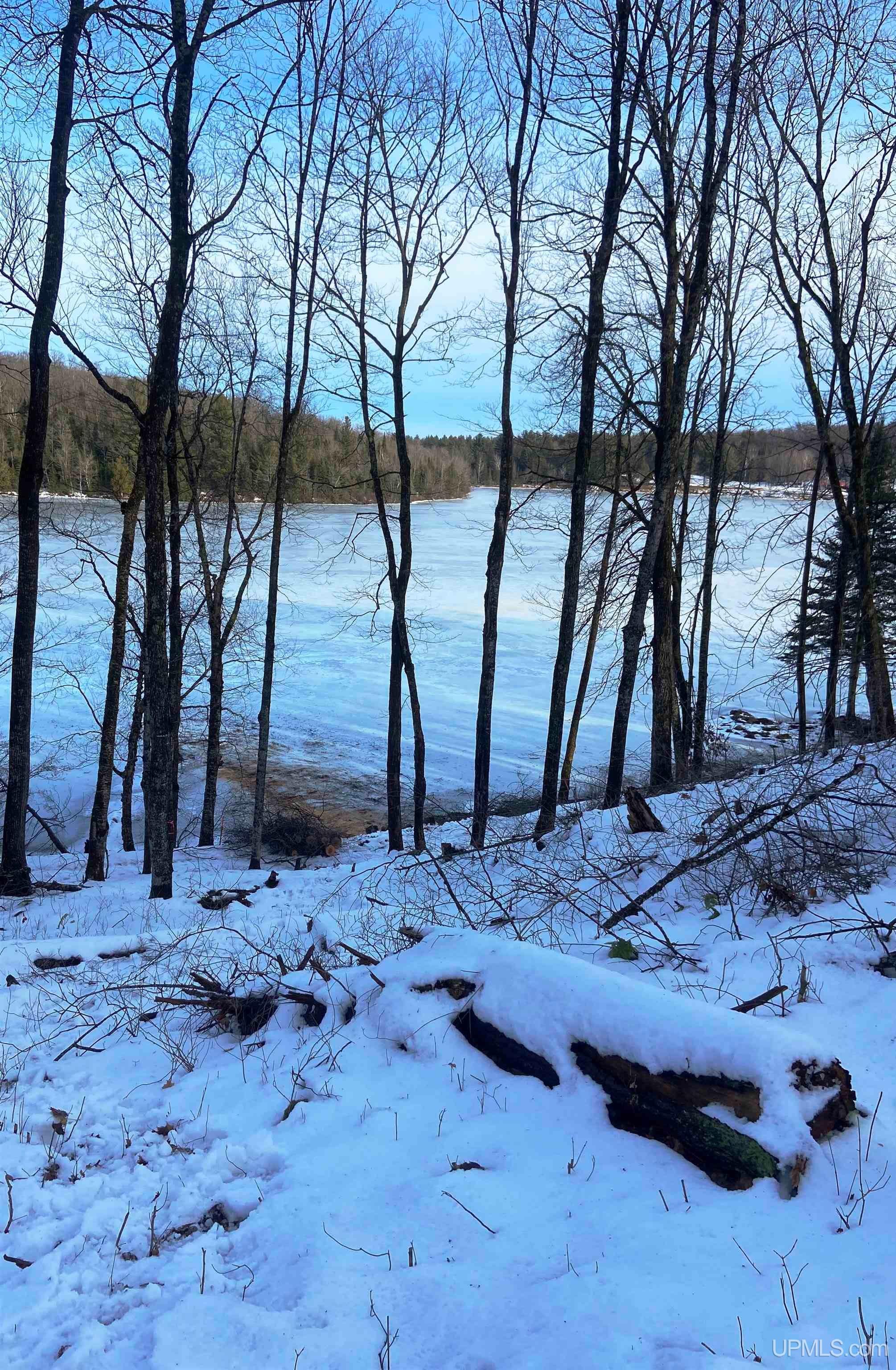 Tbd West Tamarack Lake Road, Unit LOT 5 Watersmeet, MI 49969 - Photo 63 of 66