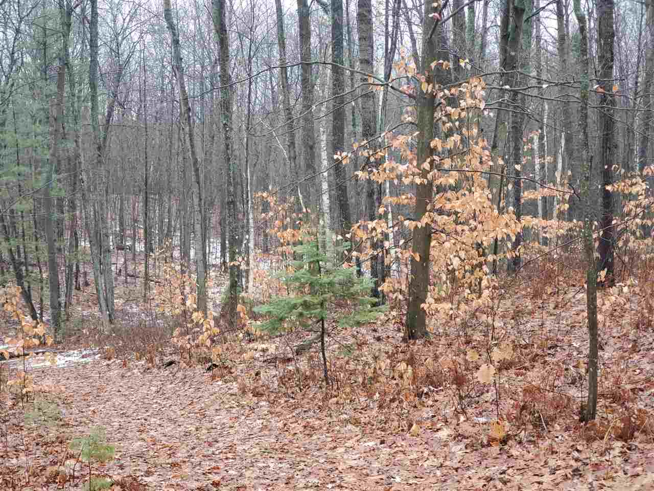 888 Bud Lane Fairview, MI 48621 - Photo 22 of 24