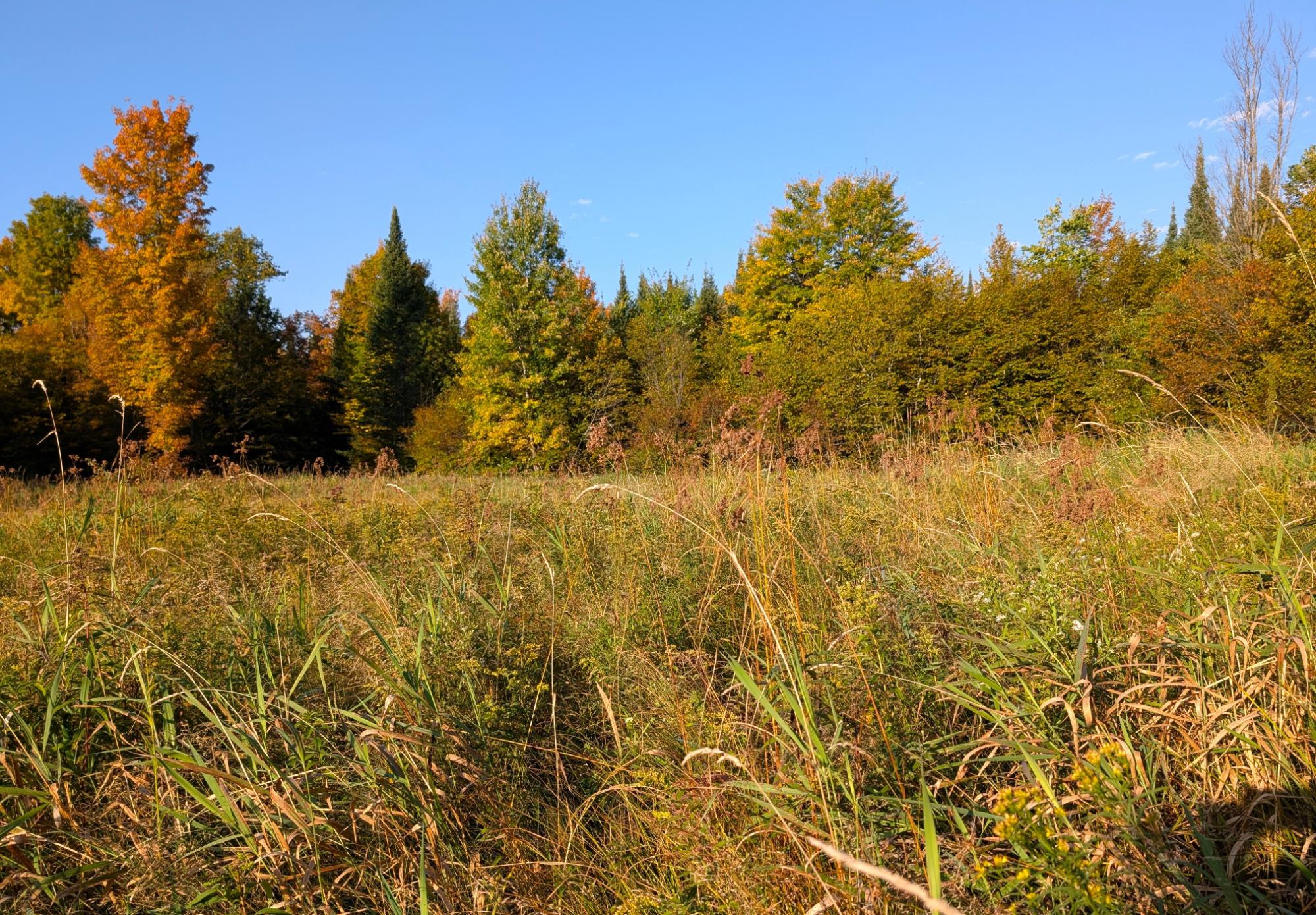 N2060 Meridian Road Ogema, WI 54459 - Photo 15 of 39 Gallery Image 15