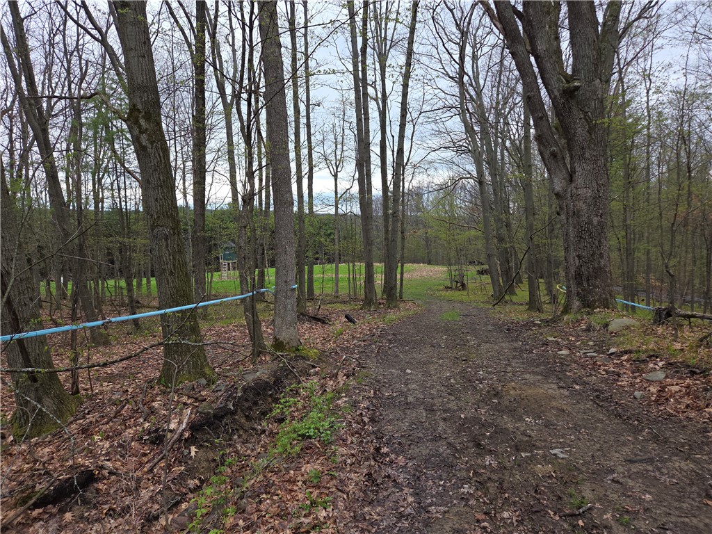 0 Gravel Run Road Dundee, NY 14837 - Photo 14 of 21