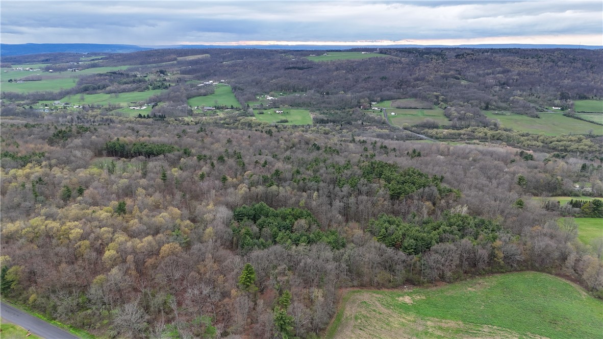 0 Gravel Run Road Dundee, NY 14837 - Photo 20 of 21