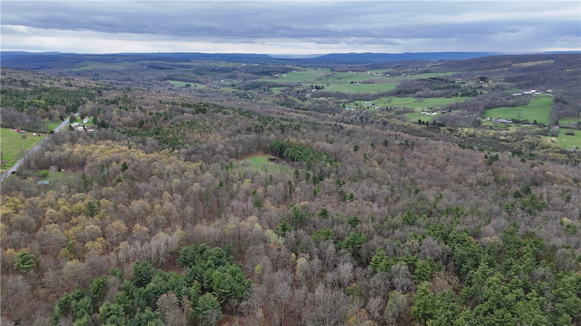 0 Gravel Run Road Dundee, NY 14837 - Photo 21 of 21