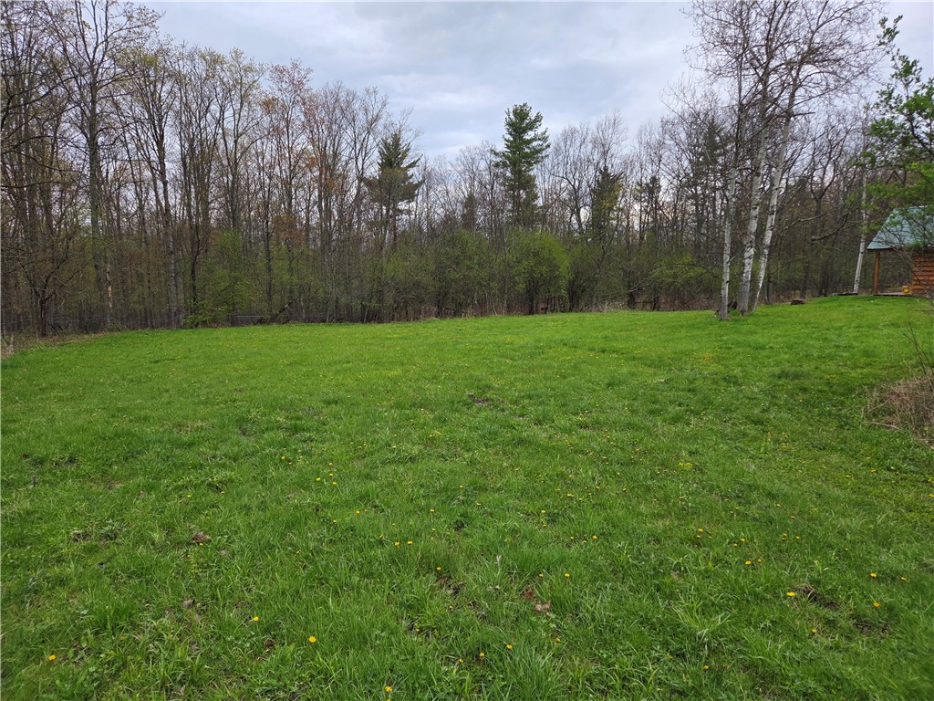 0 Gravel Run Road Dundee, NY 14837 - Photo 8 of 21