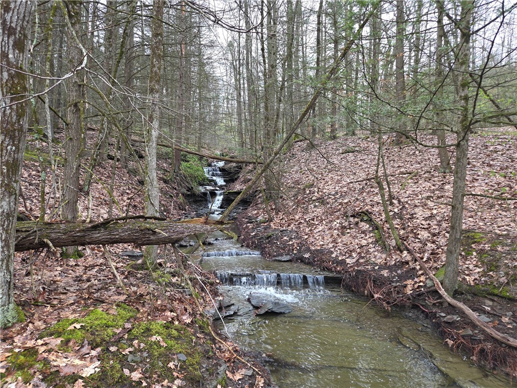 0 Gravel Run Road Dundee, NY 14837 - Photo 9 of 21