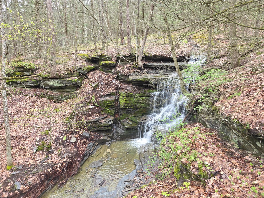 0 Gravel Run Road Dundee, NY 14837 - Photo 10 of 21
