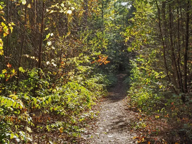 $415,000 | 60 Starbird Road, Unit E, Jericho, VT 05465