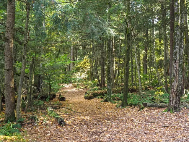 $415,000 | 60 Starbird Road, Unit E, Jericho, VT 05465