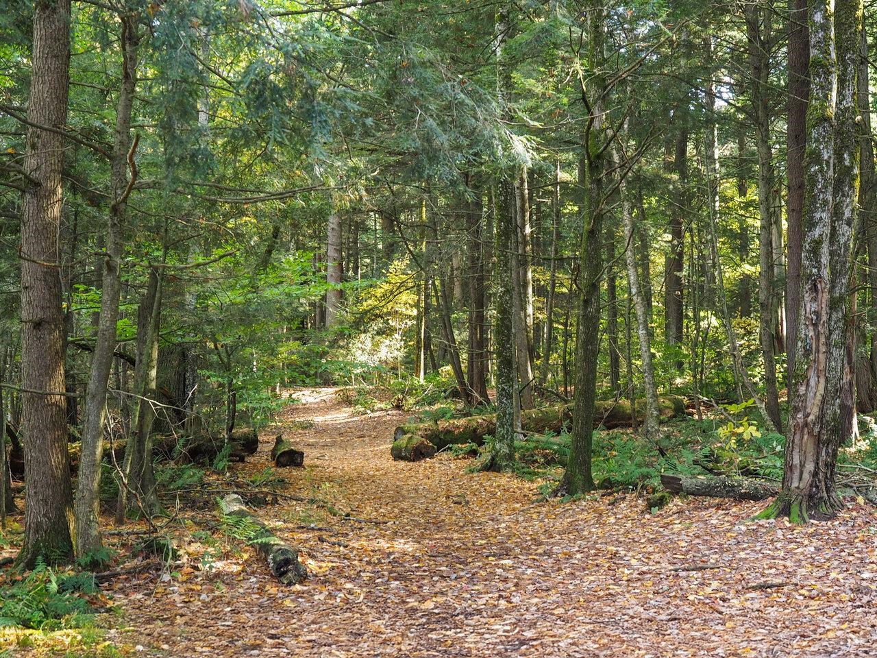 60 Starbird Road, Unit E Jericho, VT 05465 - Photo 34 of 40