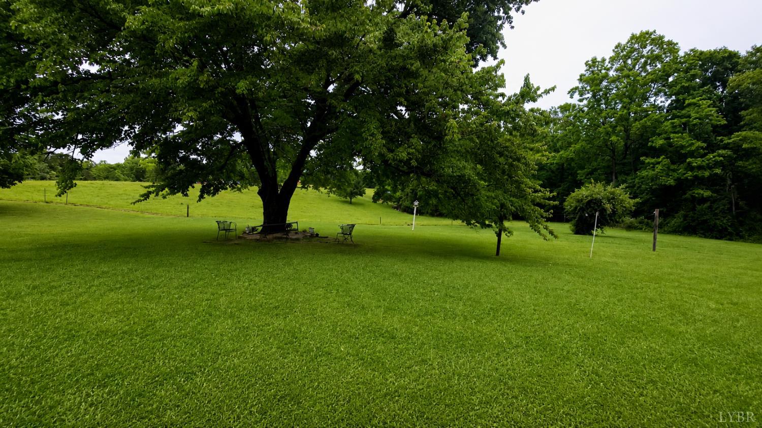 2346 Mitchell Mill Road Gladys, VA 24554 - Photo 30 of 38 a view of a park