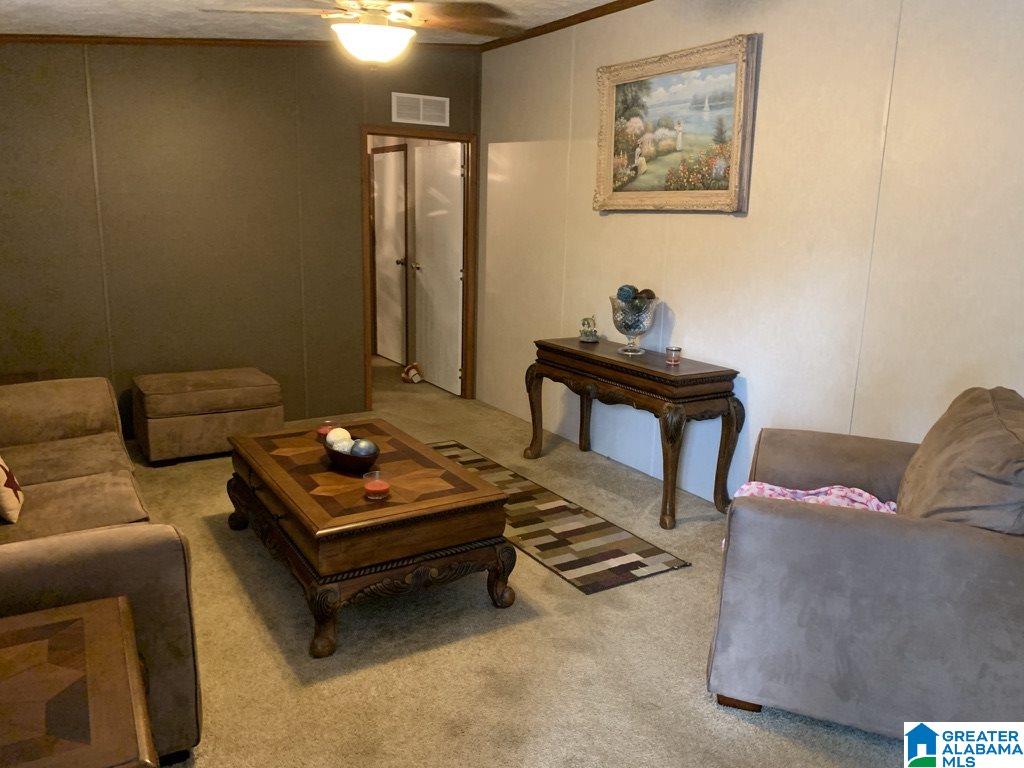 5055 Reeder Road Dora, AL 35062 - Photo 5 of 33