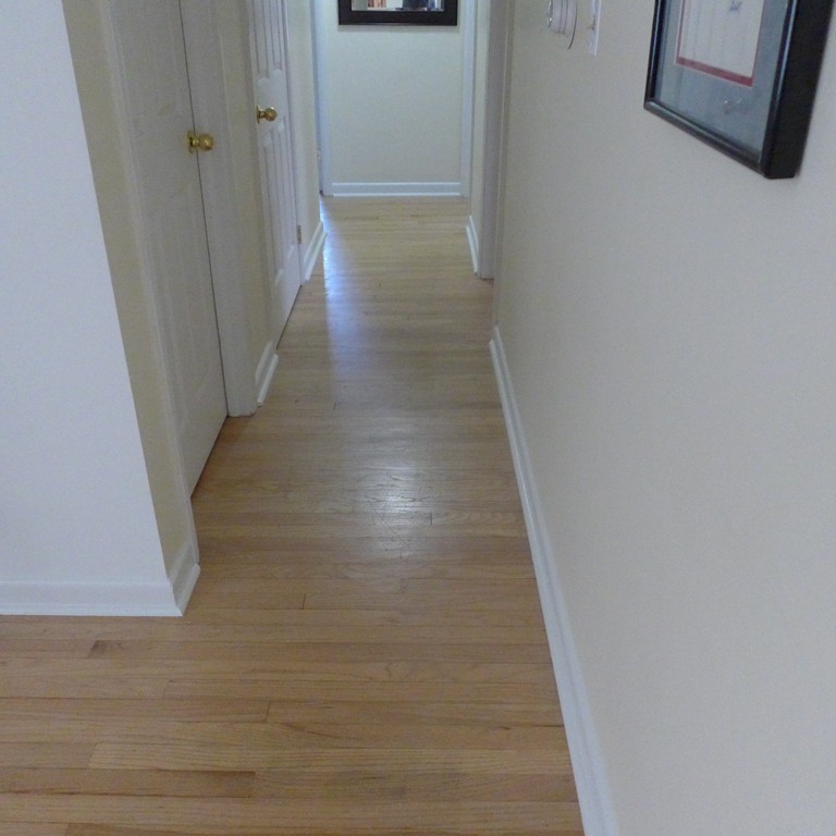 167 West Allen Ridge Road Springfield, MA 01118 - Photo 8 of 17