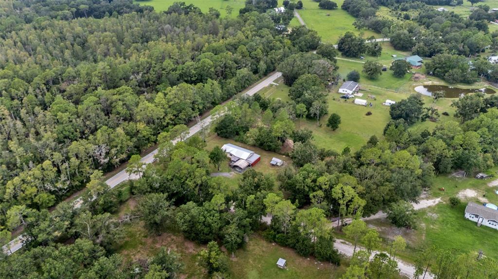 13700 Pine Meadow Road Kathleen, FL 33849 - Photo 37 of 39 a view of a forest with a houses