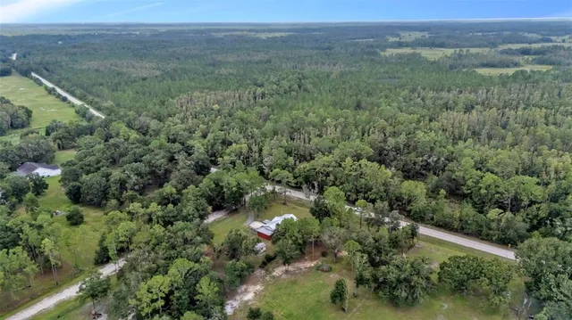 a view of a lush green forest with trees and some houses