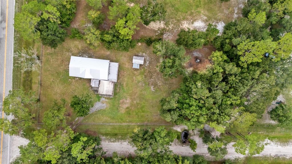 13700 Pine Meadow Road Kathleen, FL 33849 - Photo 39 of 39 a view of a yard