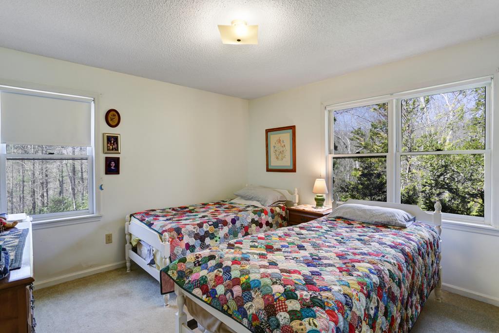 14 Wells Road Brasstown, NC 28902 - Photo 12 of 65 Gallery Image 12