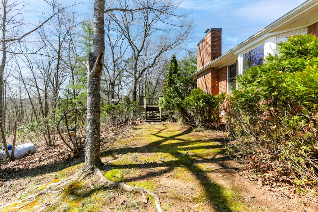 14 Wells Road Brasstown, NC 28902 - Photo 27 of 65 Gallery Image 27