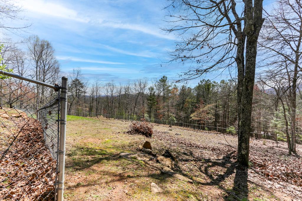 14 Wells Road Brasstown, NC 28902 - Photo 28 of 65 Gallery Image 28