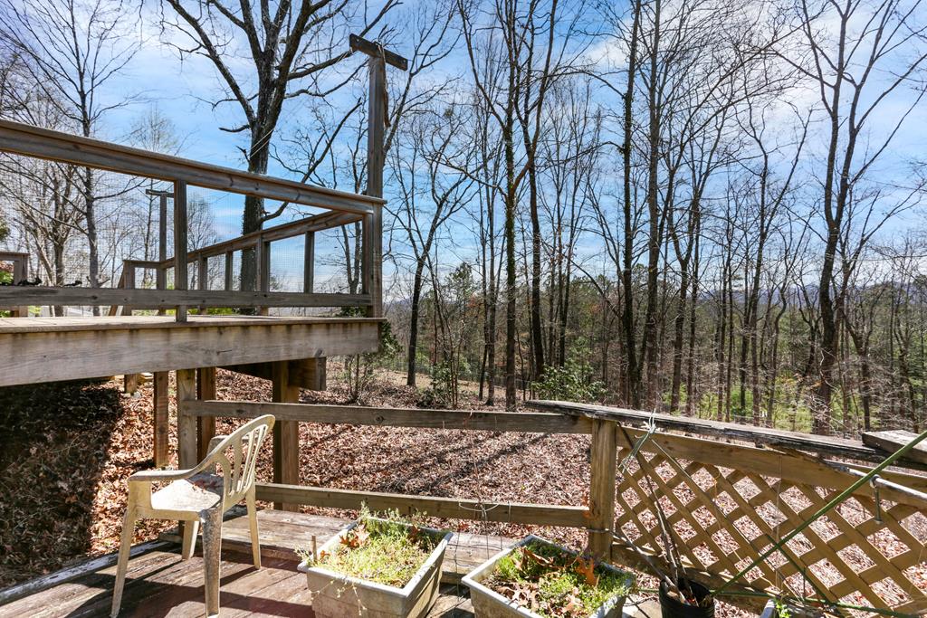 14 Wells Road Brasstown, NC 28902 - Photo 29 of 65 Gallery Image 29