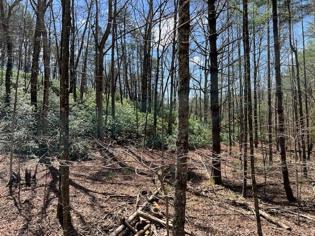 14 Wells Road Brasstown, NC 28902 - Photo 36 of 65 Gallery Image 36