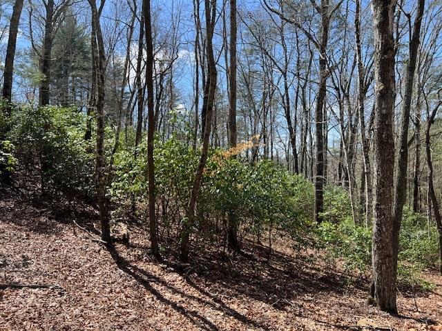14 Wells Road Brasstown, NC 28902 - Photo 38 of 65 Gallery Image 38