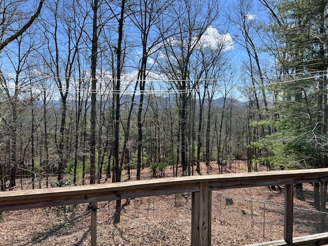 14 Wells Road Brasstown, NC 28902 - Photo 45 of 65 Gallery Image 45
