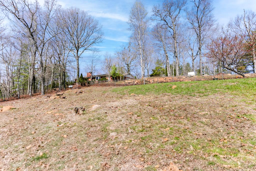 14 Wells Road Brasstown, NC 28902 - Photo 59 of 65 Gallery Image 59