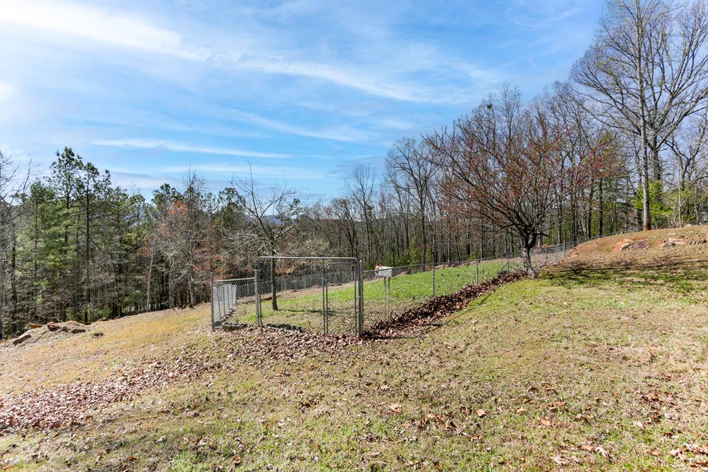 14 Wells Road Brasstown, NC 28902 - Photo 62 of 65 Gallery Image 62