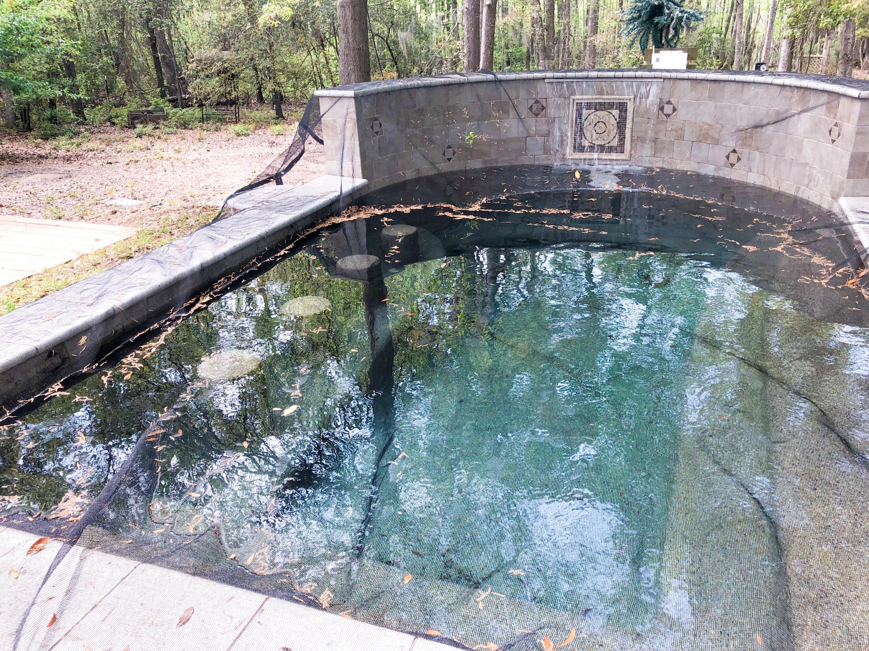 1681 Goslin Pond Road Summerton, SC 29148 - Photo 34 of 44 IMG-0698