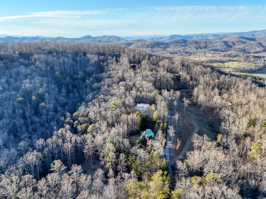 531 Wikle Road Hayesville, NC 28904 - Photo 43 of 46