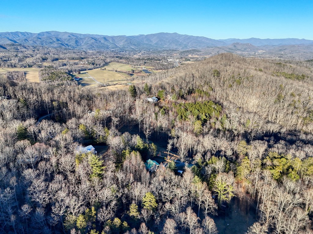 531 Wikle Road Hayesville, NC 28904 - Photo 44 of 46