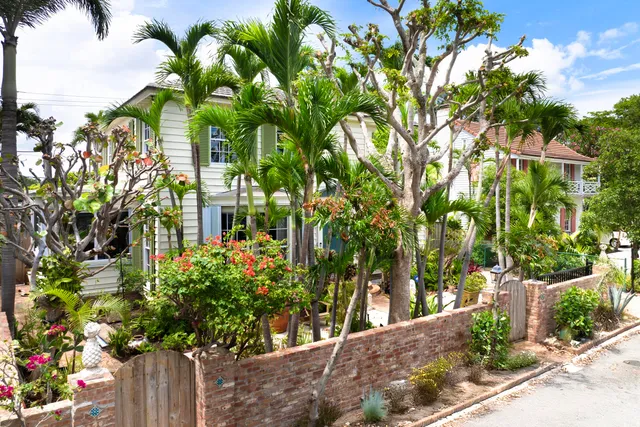 a plant that is in front of a house