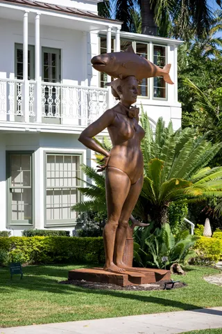 a view of a park with plants and trees